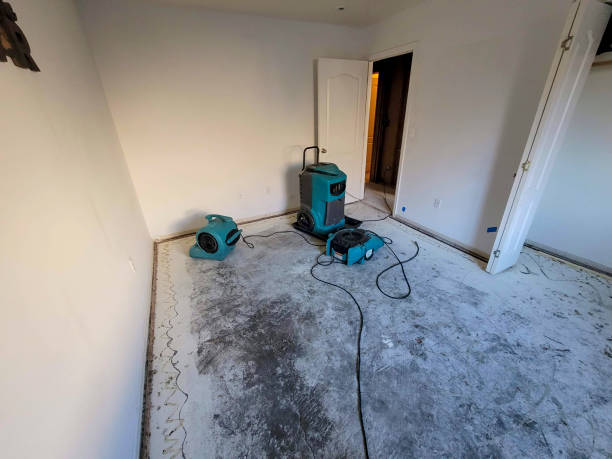 Best Water damage restoration experts  in Charleston, WV