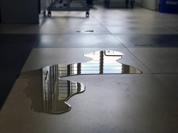 Best Commercial water damage restoration  in Charleston, WV