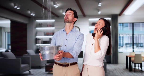 Best Ceiling water damage repair  in Charleston, WV